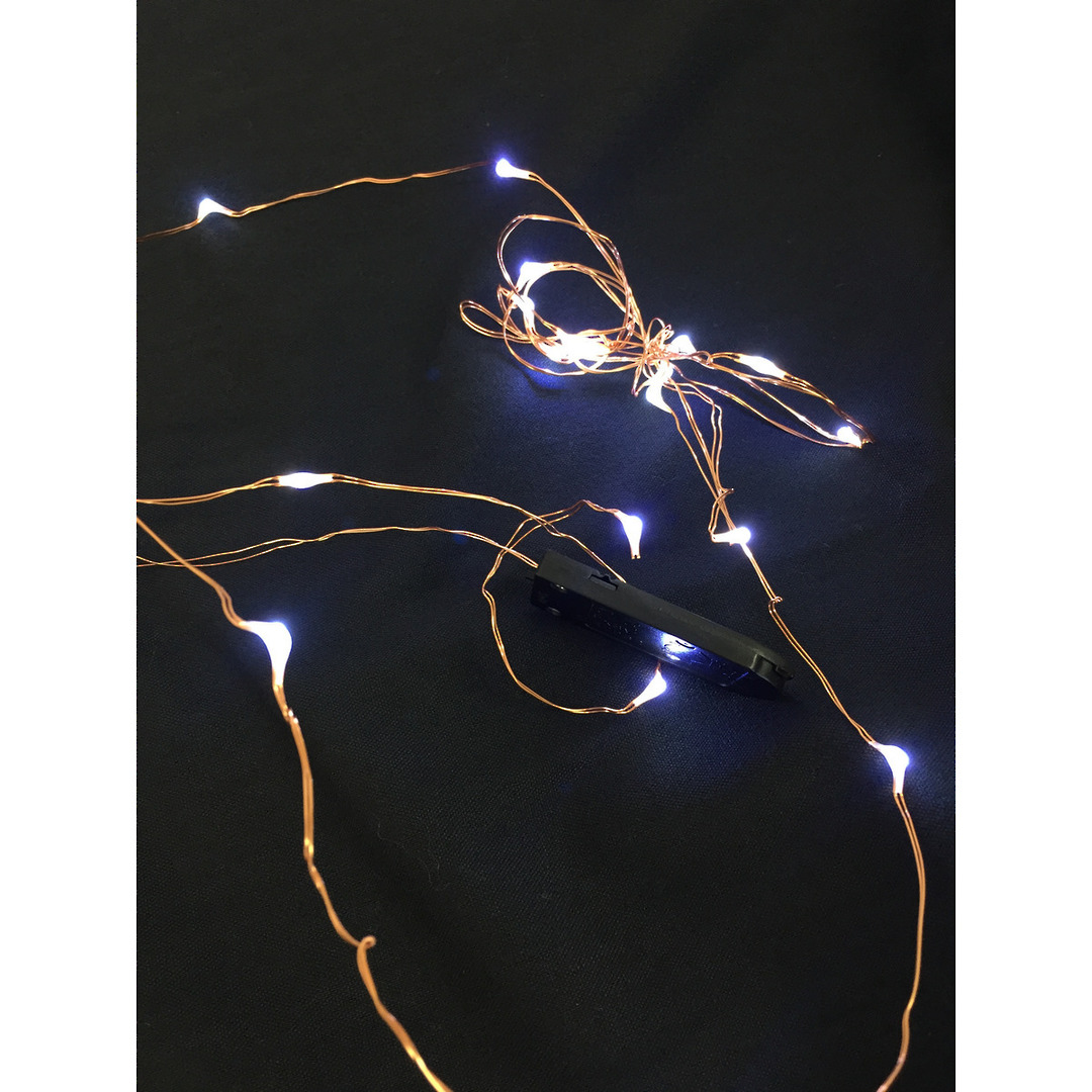 Fairy Light - Seed LED - 1m String - Copper image 0